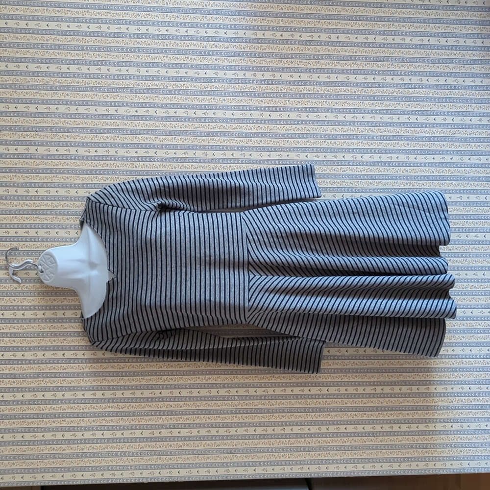 Gap Gray Black Striped Long Sleeve A Line Dress NWT 4